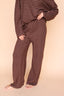 Dean Stripe Brushed Knit Pants in Brown