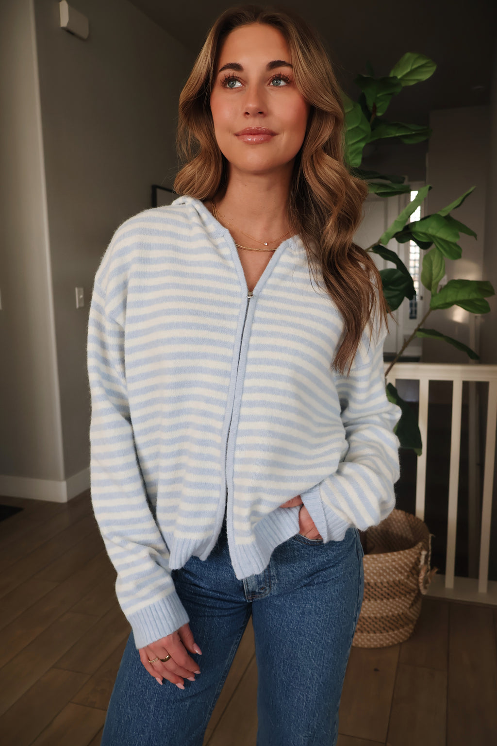 Myles Stripe Hooded Jacket