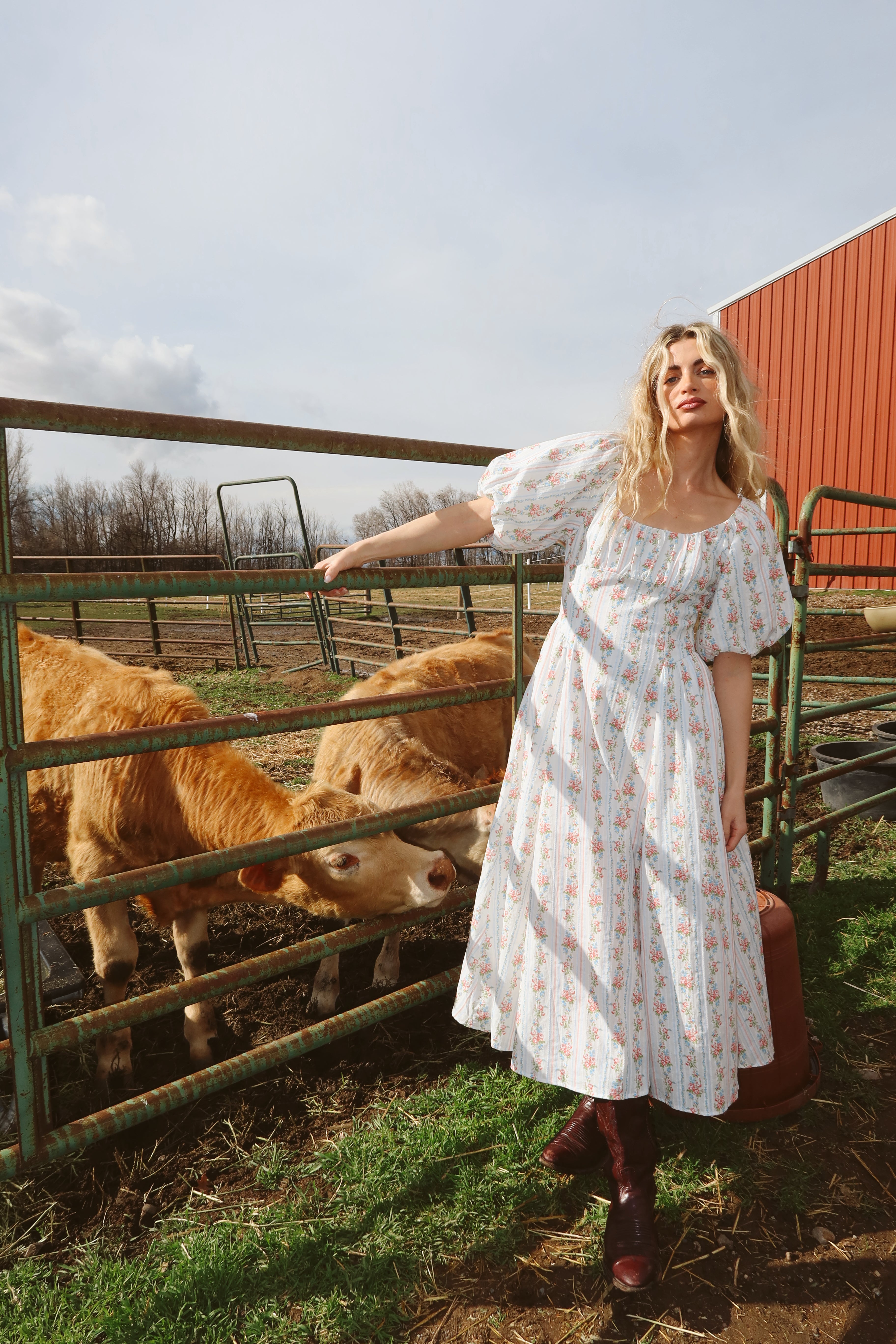 Prairie Rose Maxi Main image