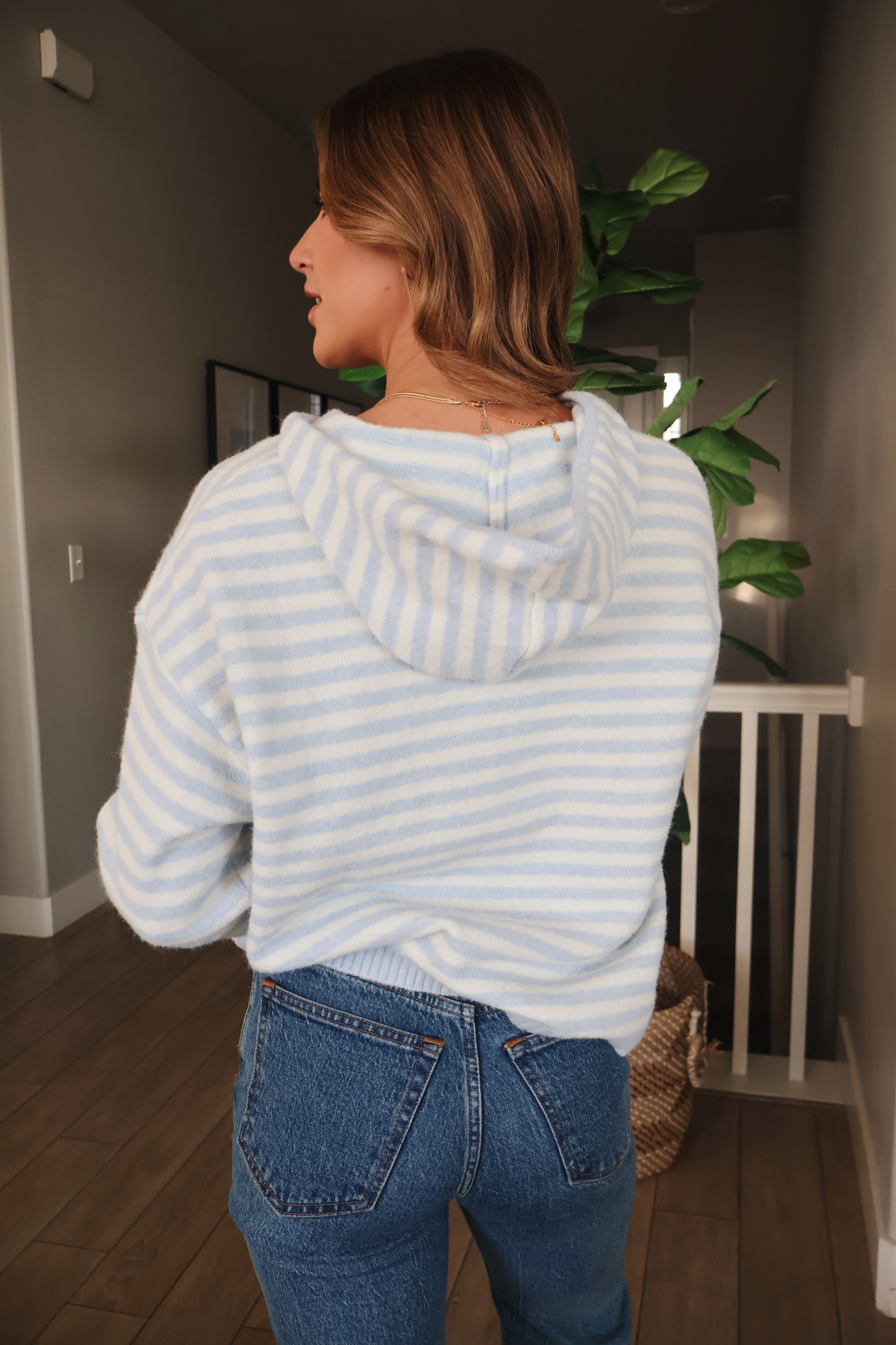 Myles Stripe Hooded Jacket