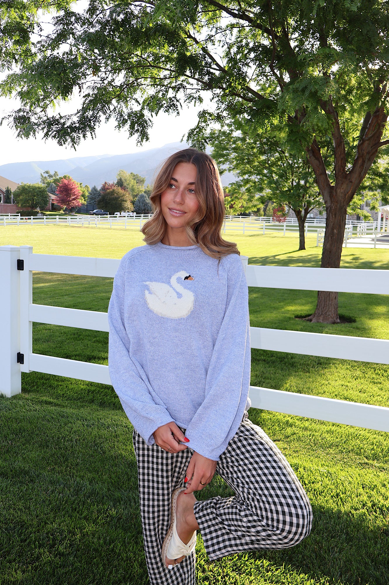 Swan Knit Sweater