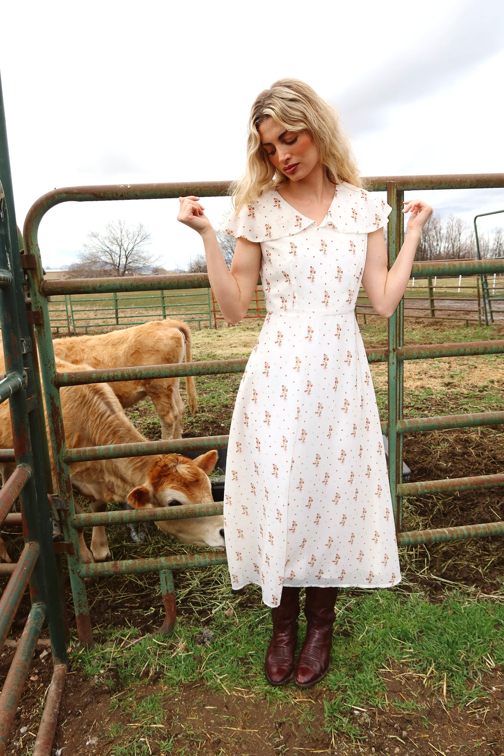 Strawberry Lane Dress