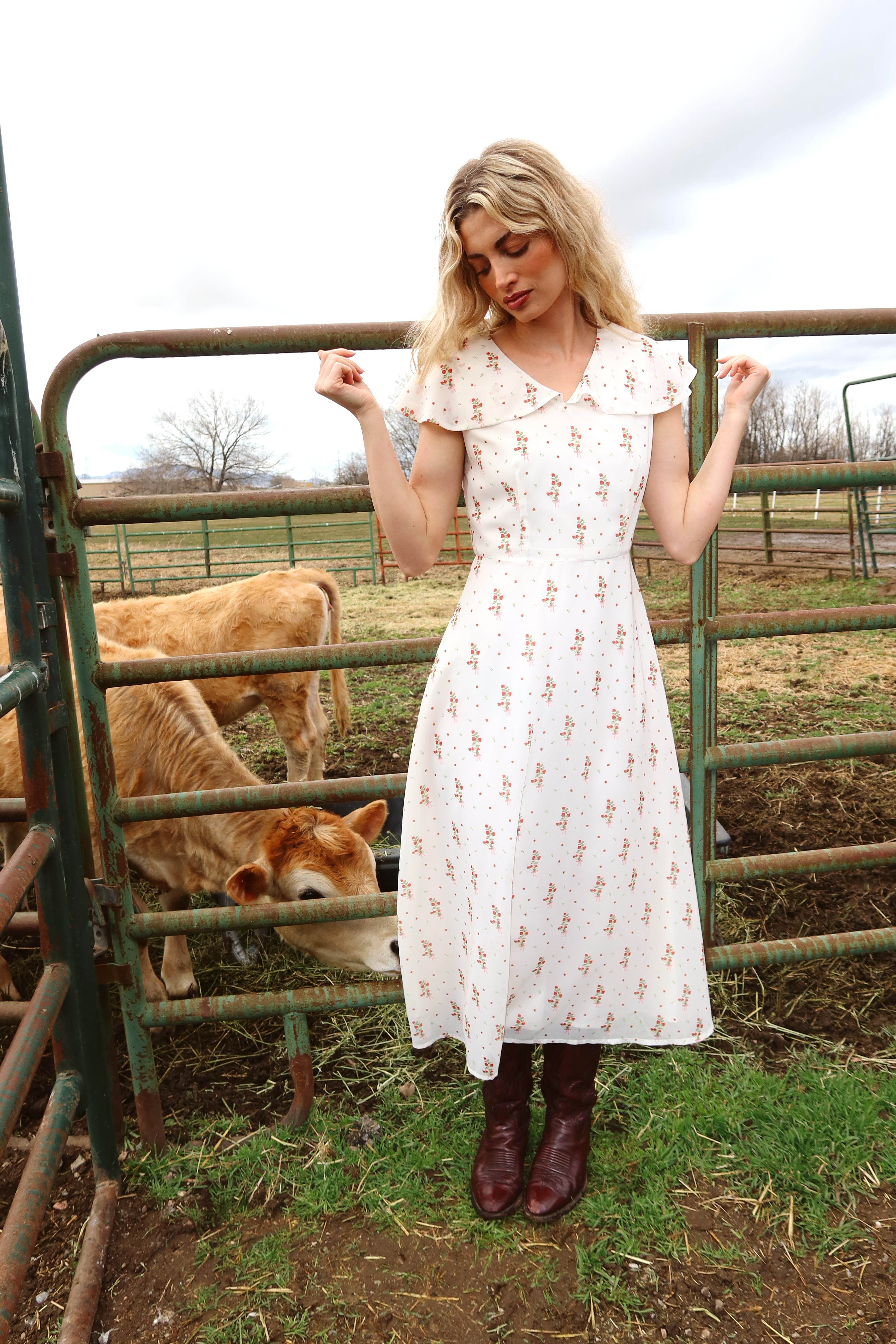 Strawberry Lane Dress