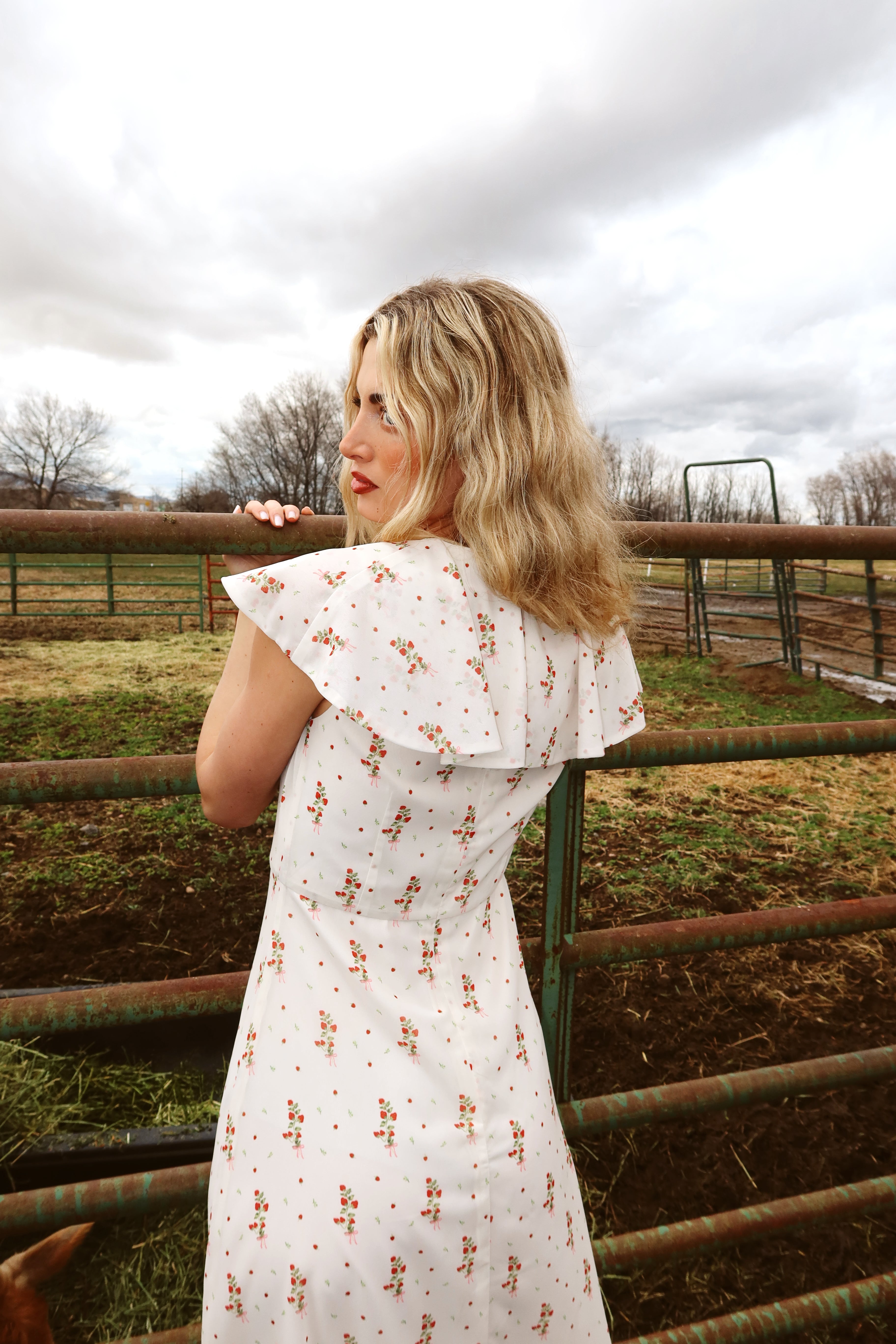 Strawberry Lane Dress Secondary image