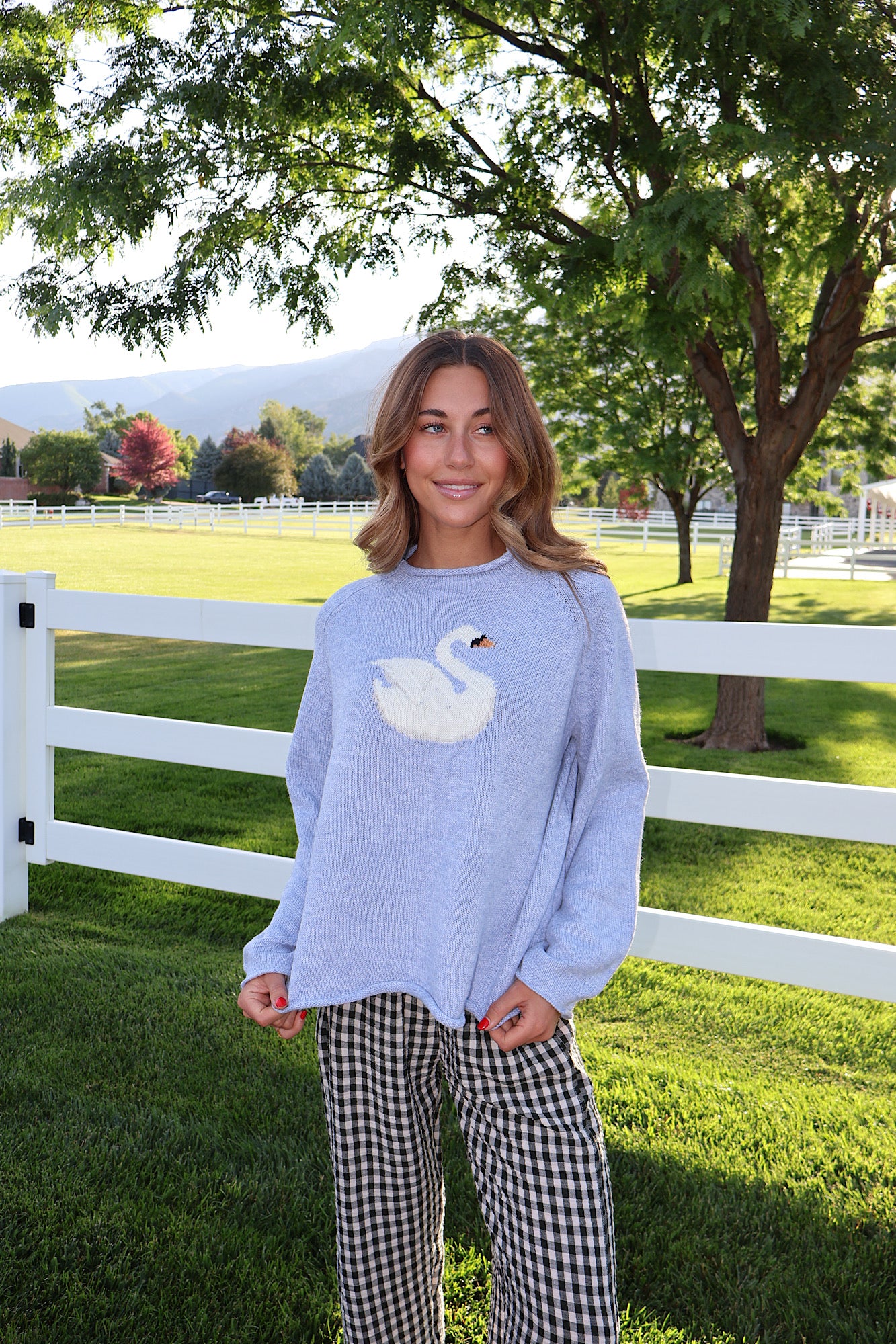 Swan Knit Sweater
