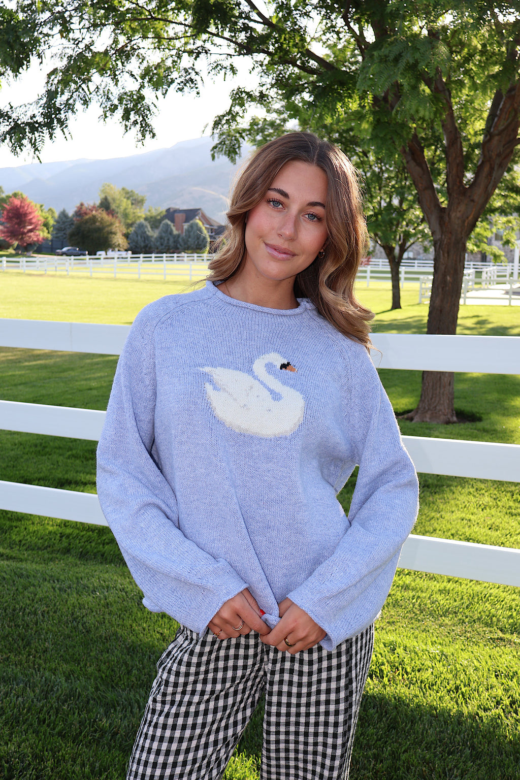 Swan Knit Sweater