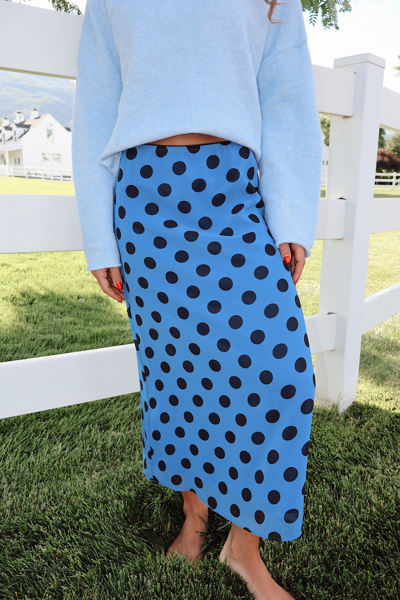 Jodi Dotted Mesh Skirt in Blue