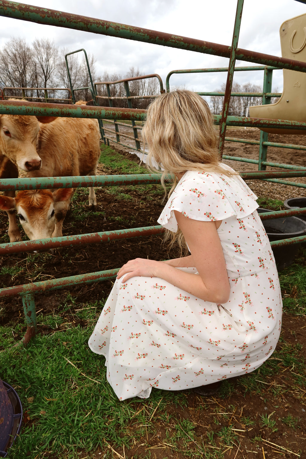 Strawberry Lane Dress