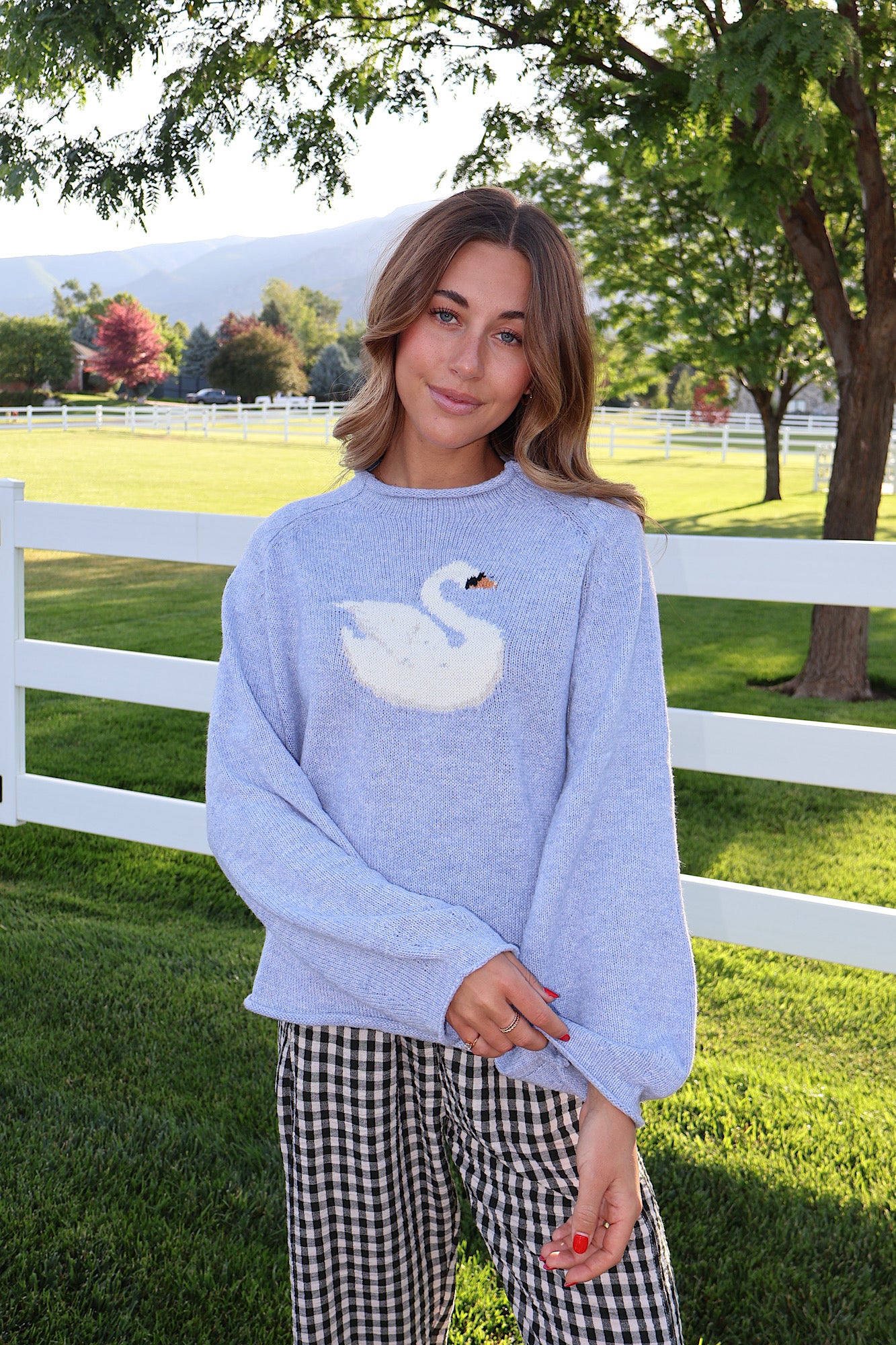 Swan Knit Sweater