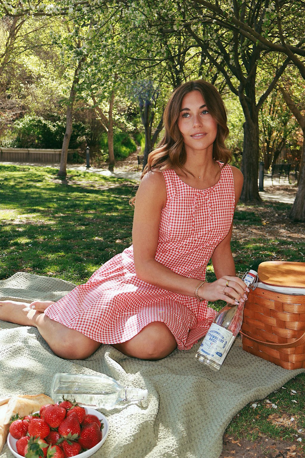 Berry Sweet Gingham Dress