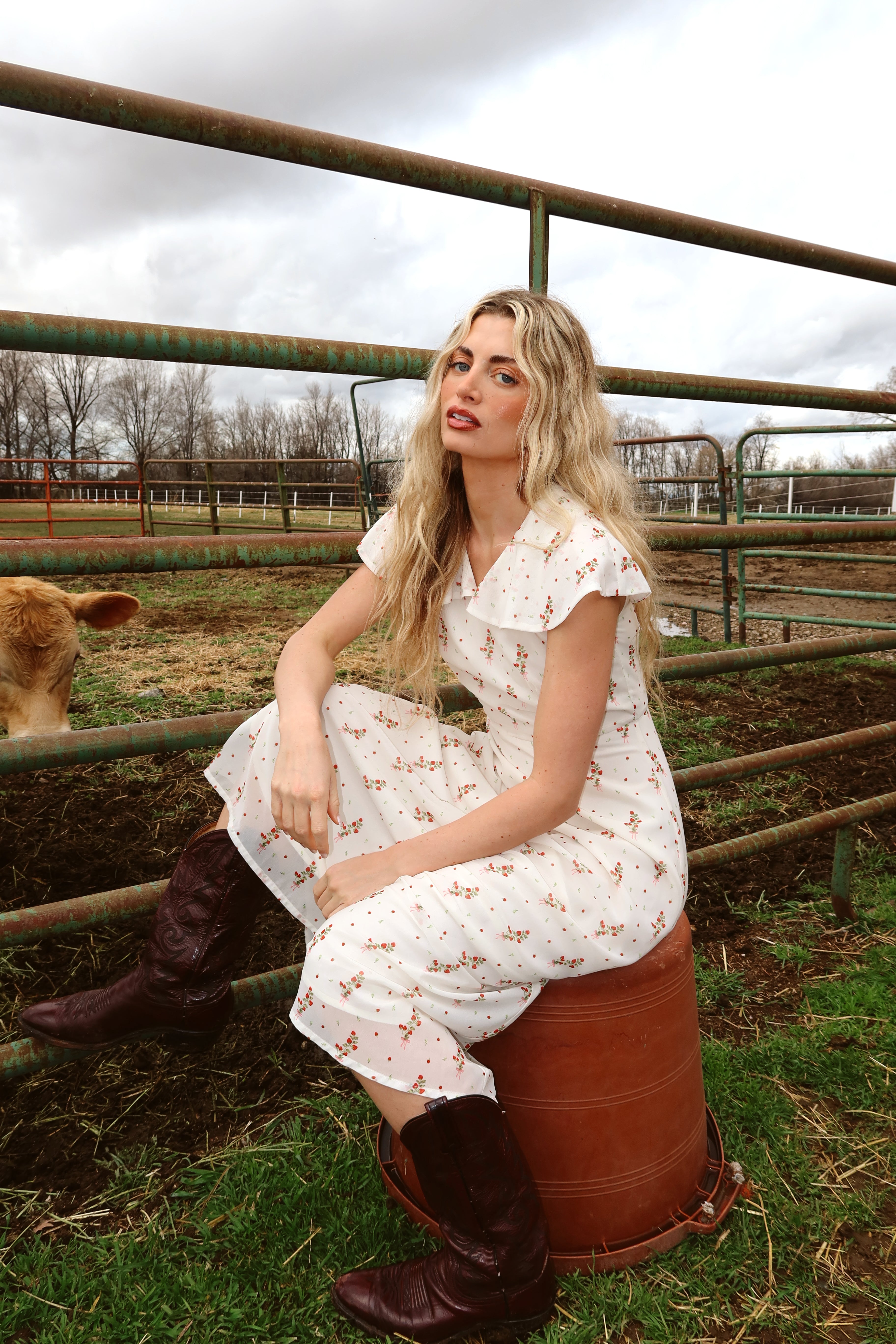 Strawberry Lane Dress Main image