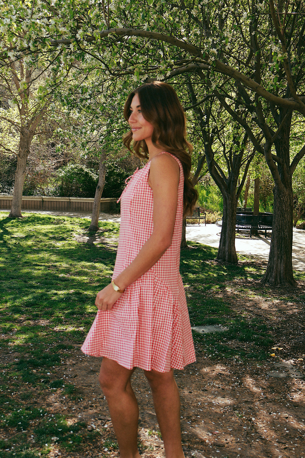 Berry Sweet Gingham Dress