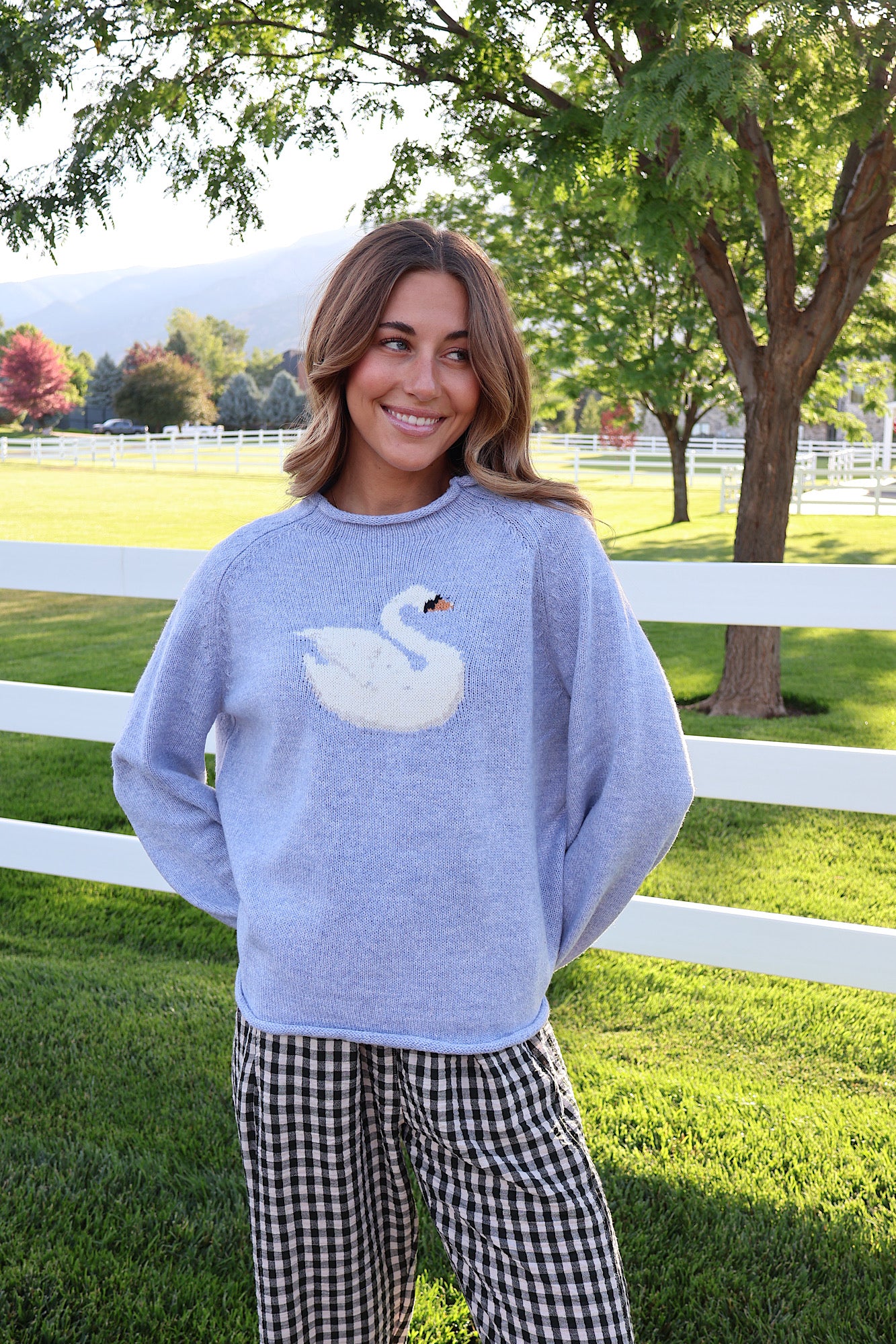 Swan Knit Sweater