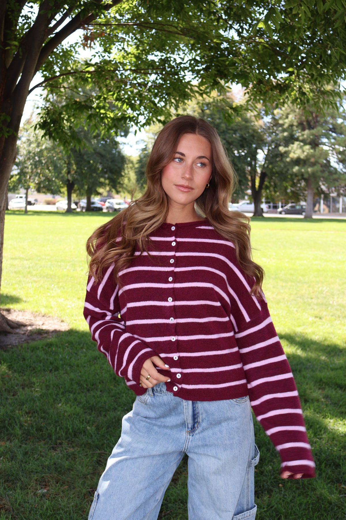 Piper Stripe Cardigan in Wine/Pink Main image