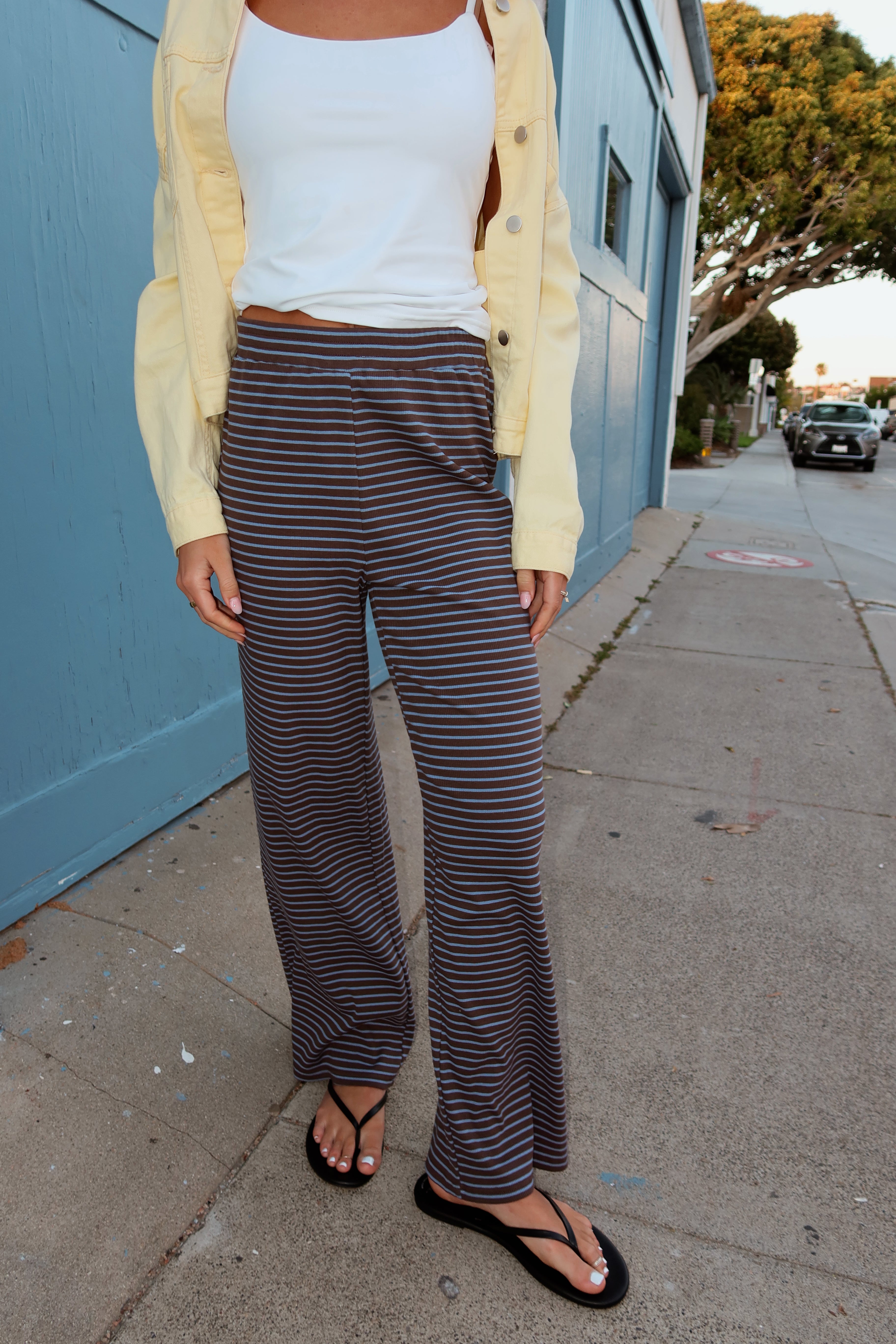 Gigi Pinstripe Pants in Brown/Blue Pinstripe