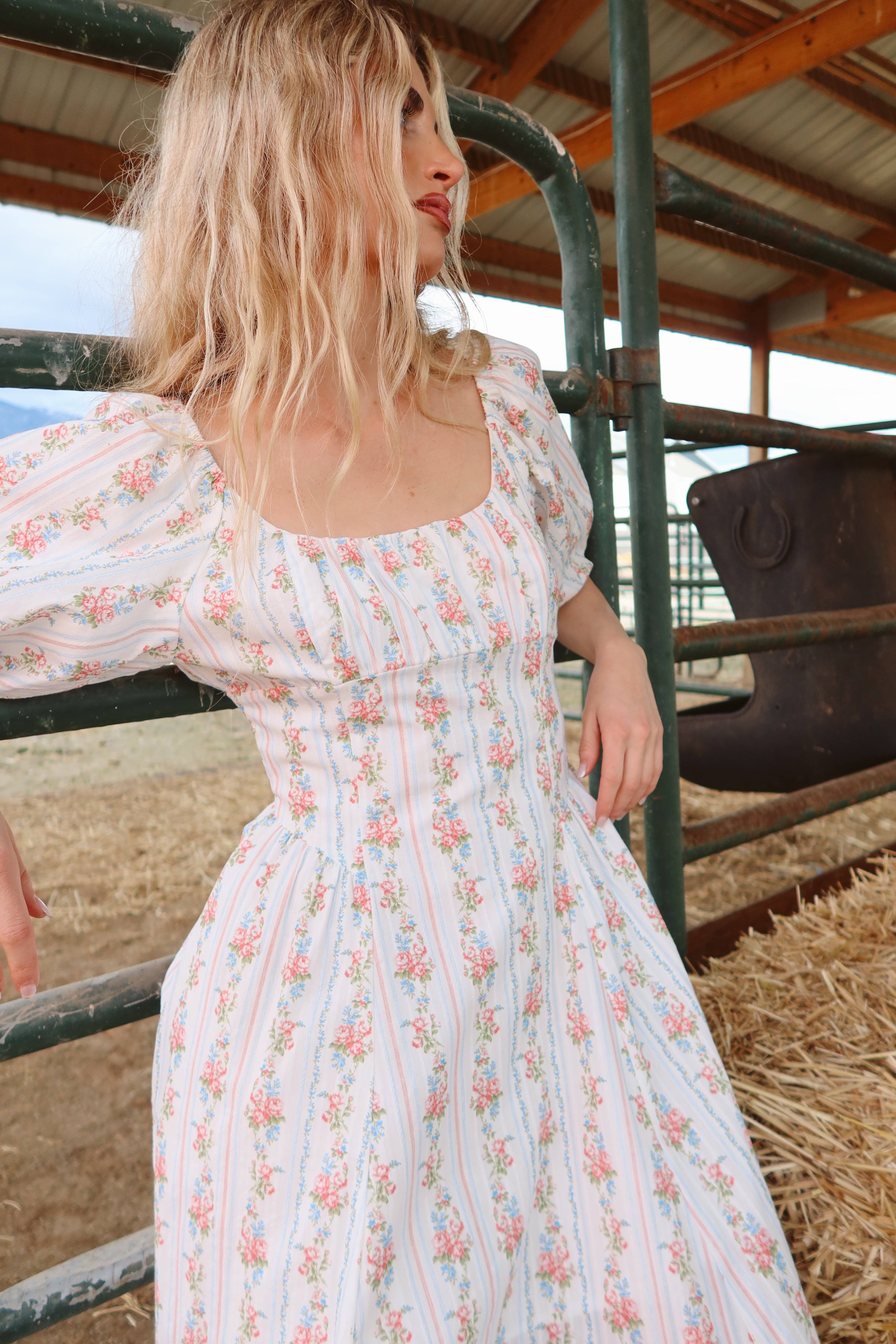 Prairie Rose Maxi