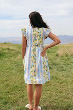 Citrus Stripe Dress
