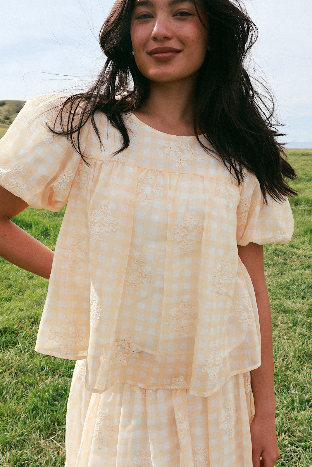 Holland Embroidered Gingham Blouse Secondary image