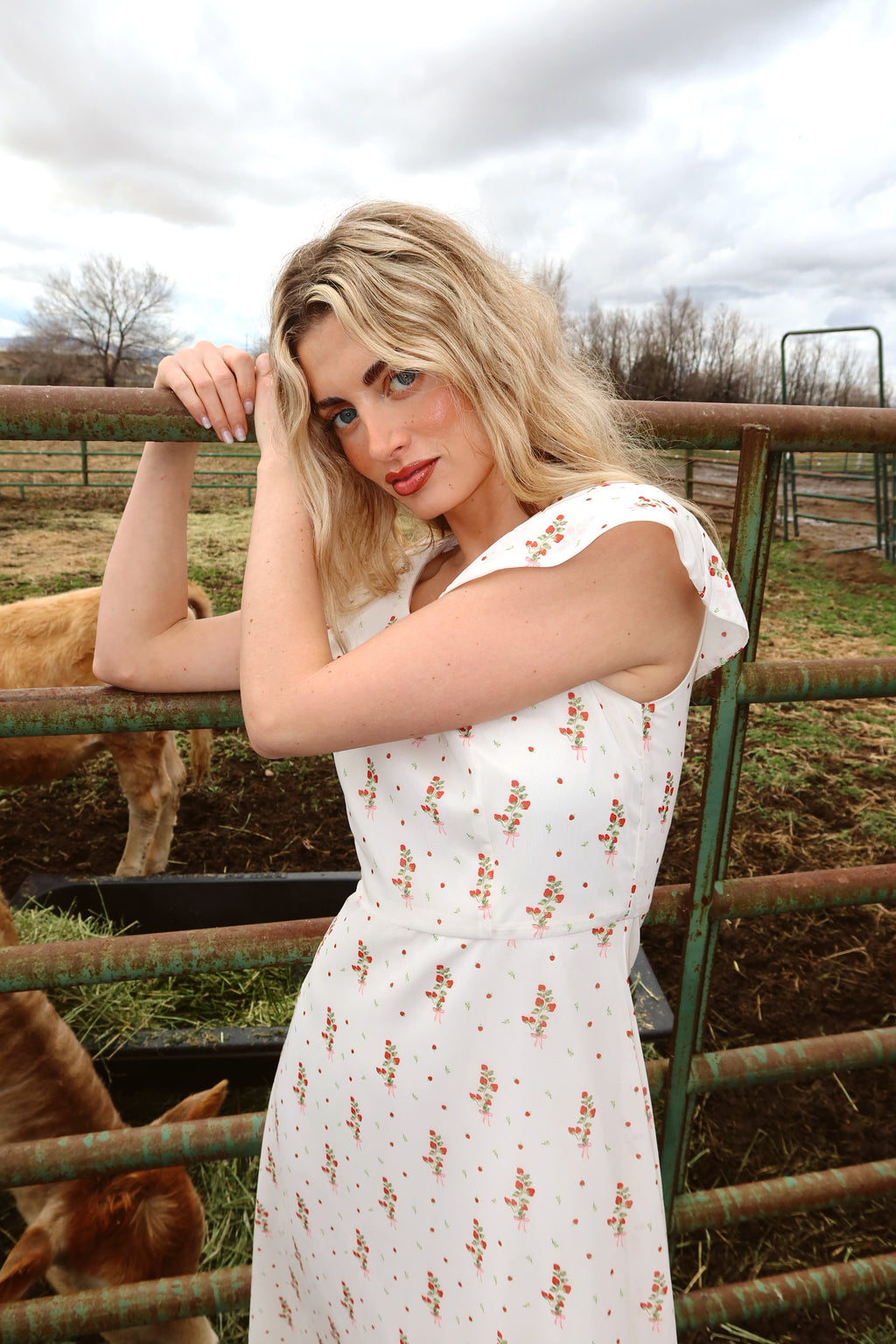Strawberry Lane Dress
