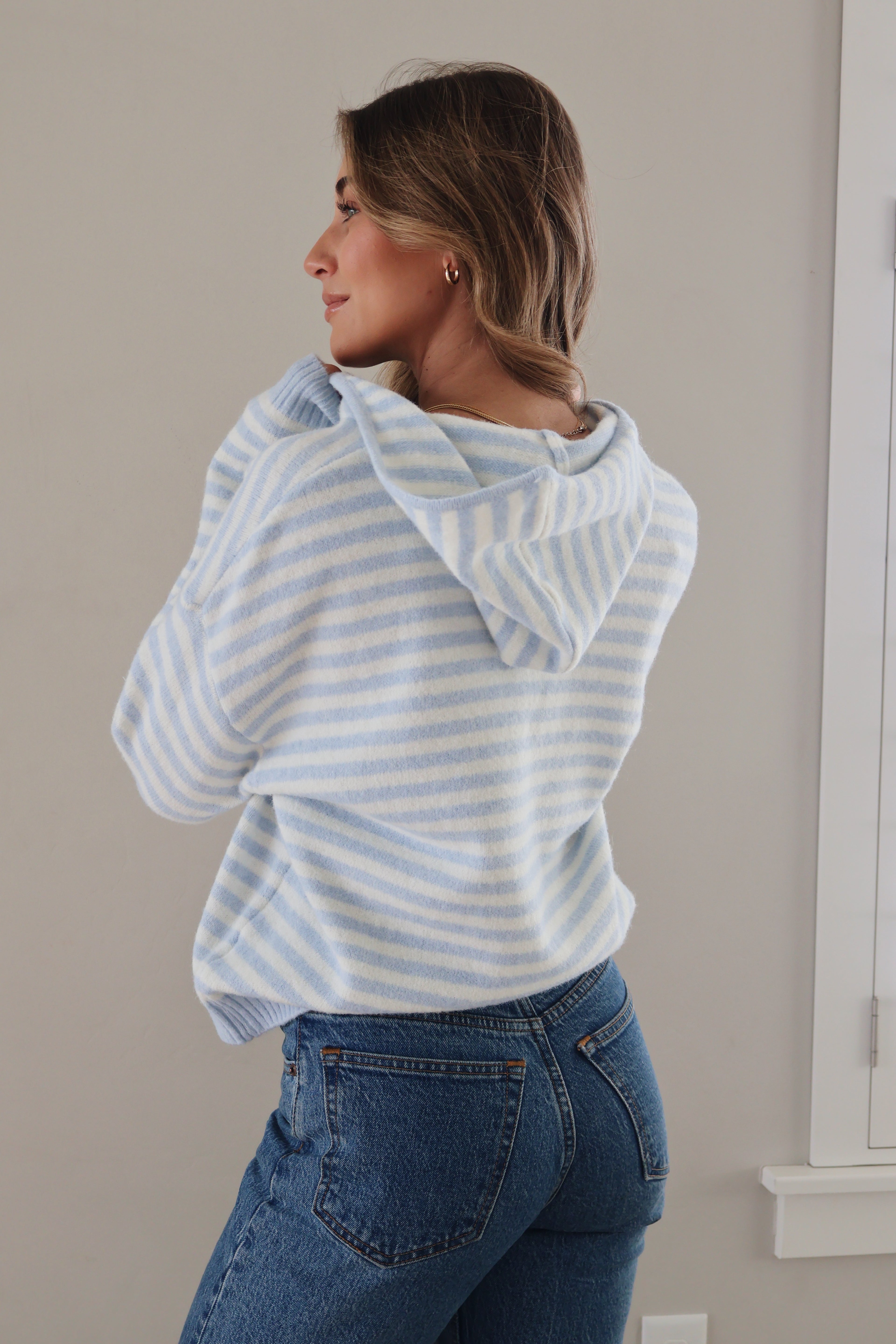 Myles Stripe Hooded Jacket