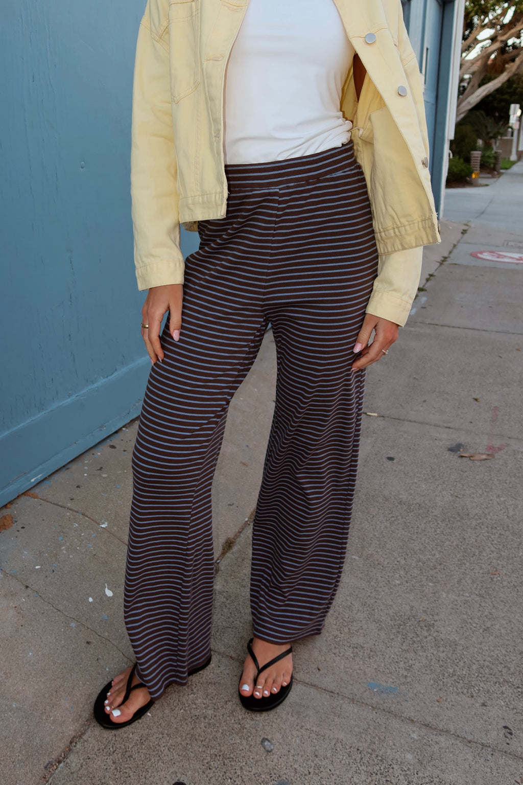 Gigi Pinstripe Pants in Brown/Blue Pinstripe