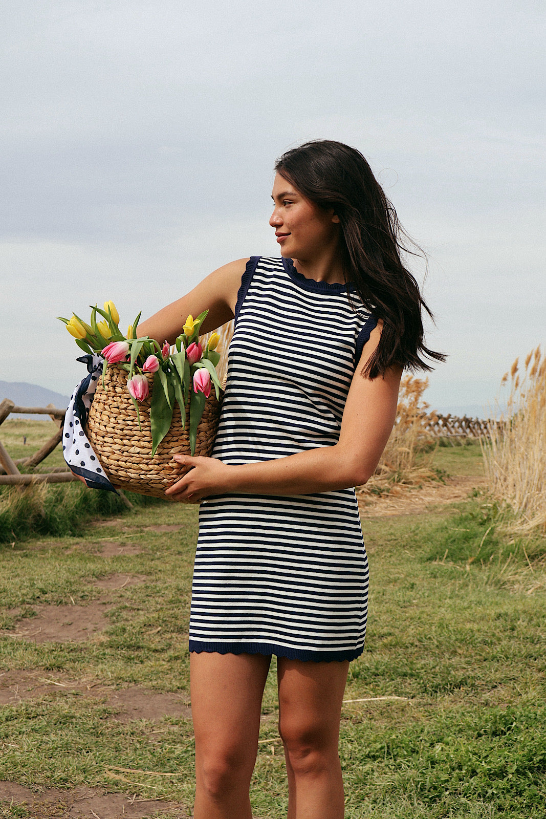 Hampton Knit Stripe Dress