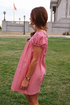 Teddy Gingham Ruffle Dress