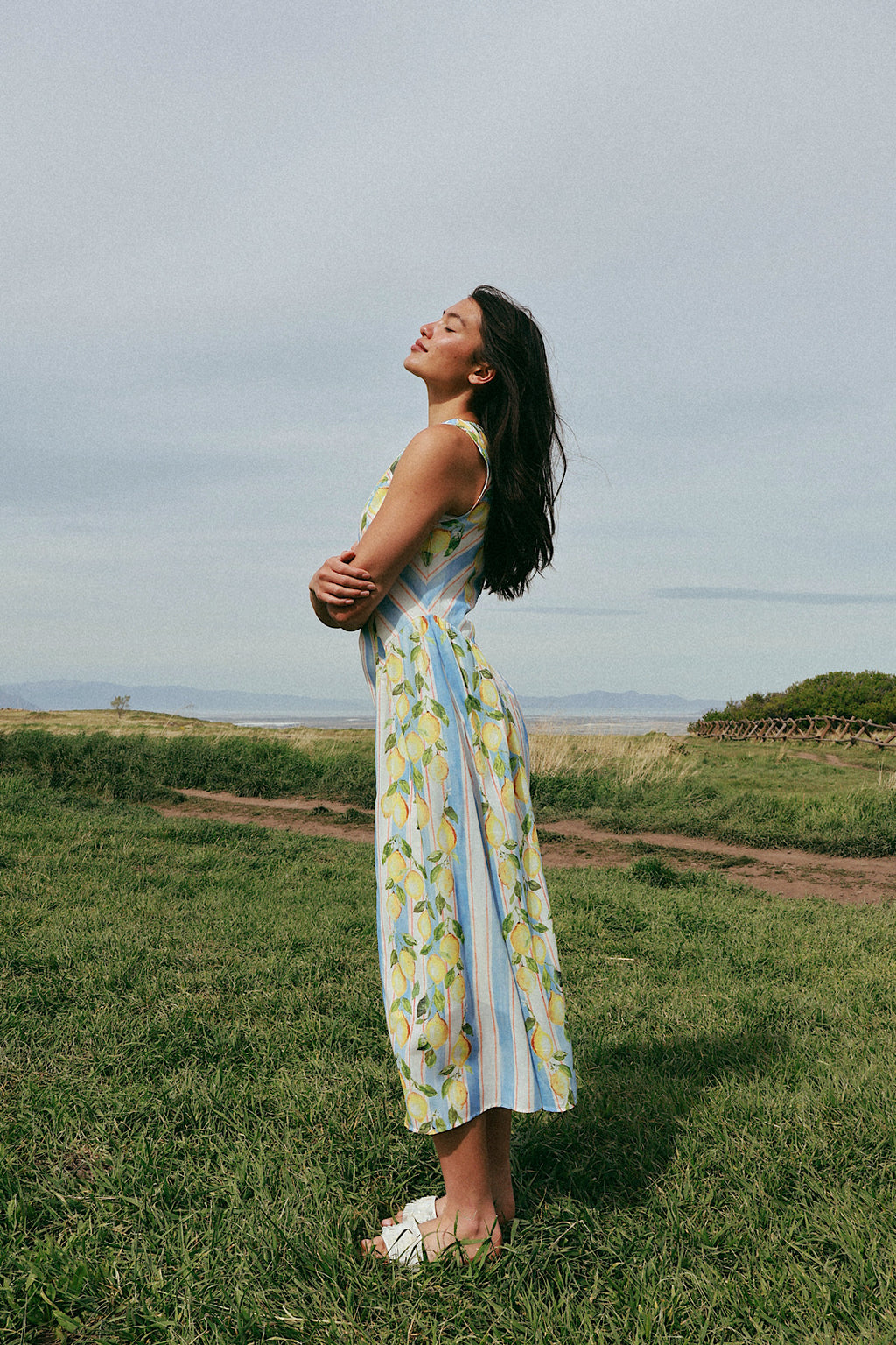 Limoncello Stripe Maxi