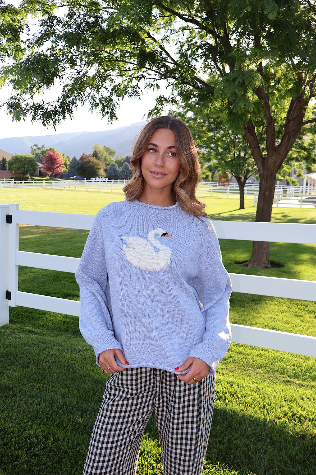 Swan Knit Sweater