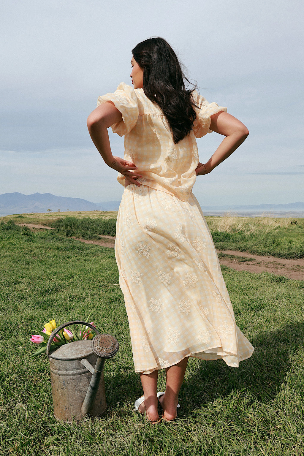 Holland Embroidered Gingham Skirt