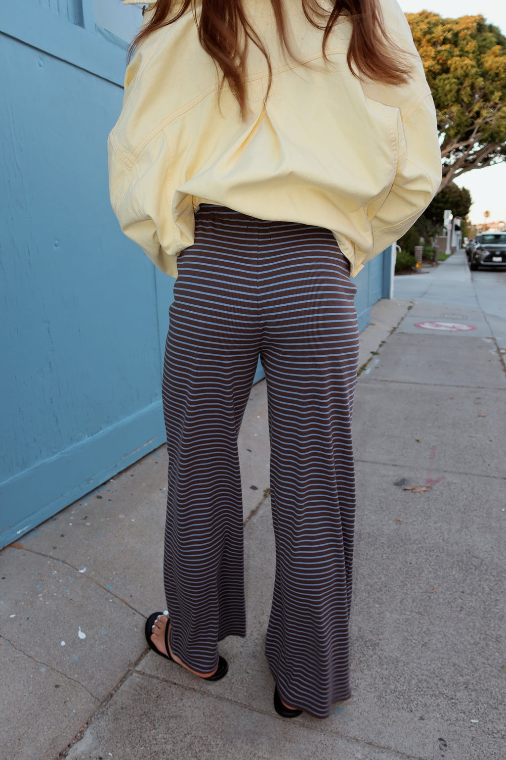 Gigi Pinstripe Pants in Brown/Blue Pinstripe