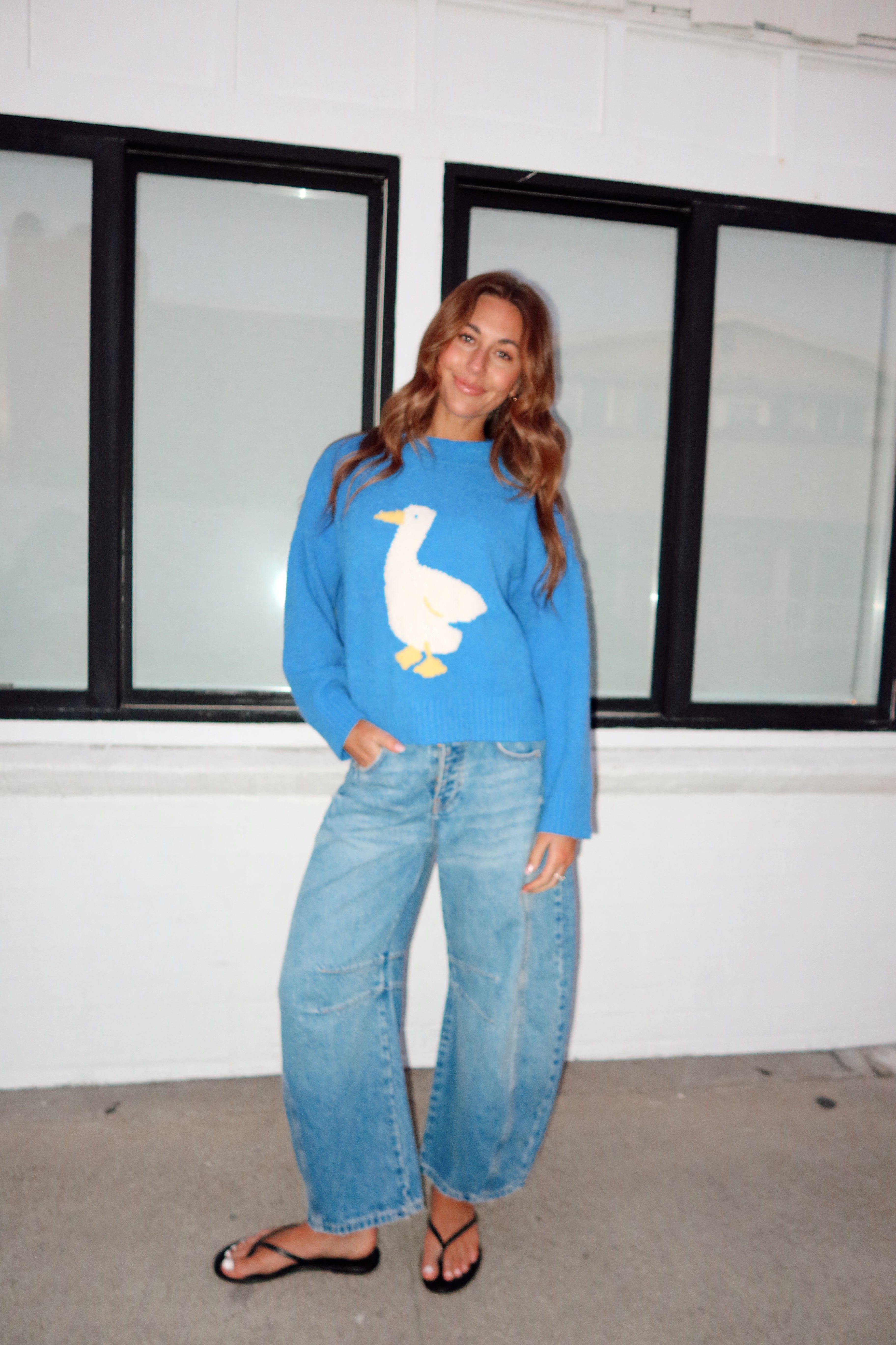 Silly Goose Sweater
