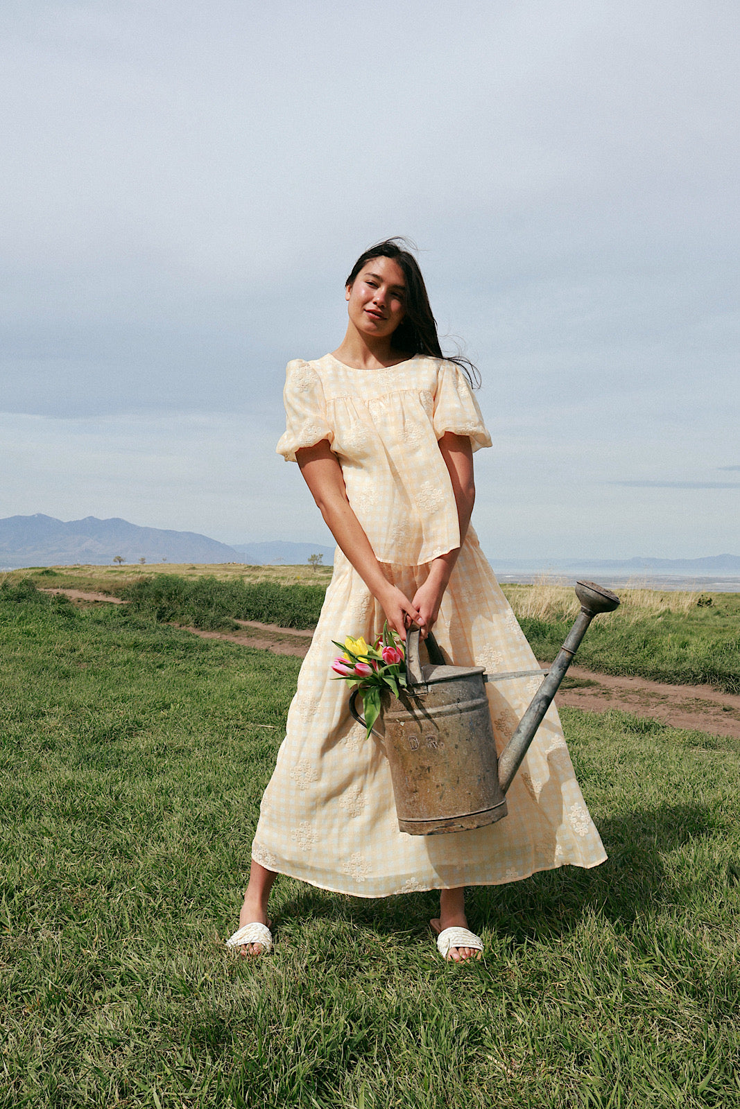 Holland Embroidered Gingham Skirt
