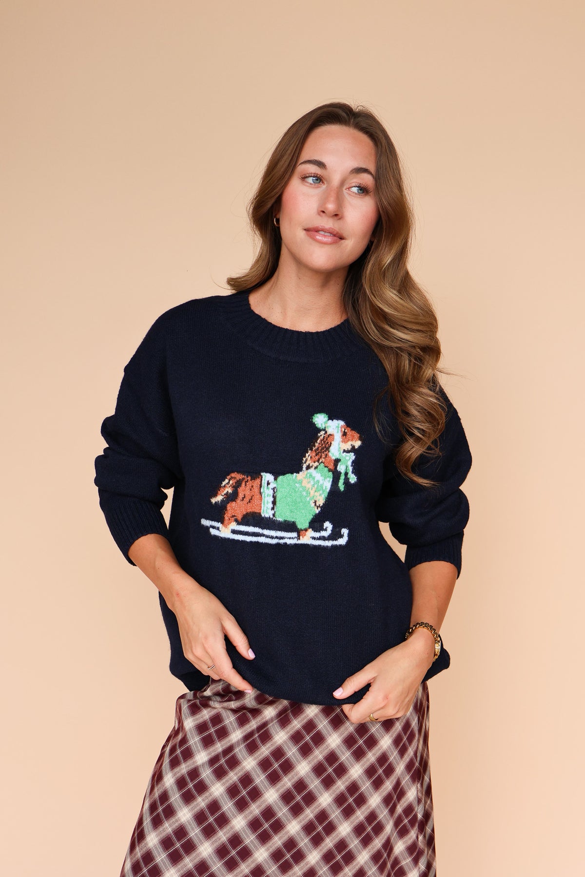 Skiing Dog Sweater in Navy Main image