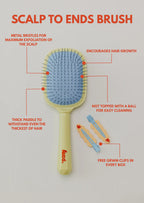 FINAL SALE - Kaxi Co Scalp To Ends Brush Kit