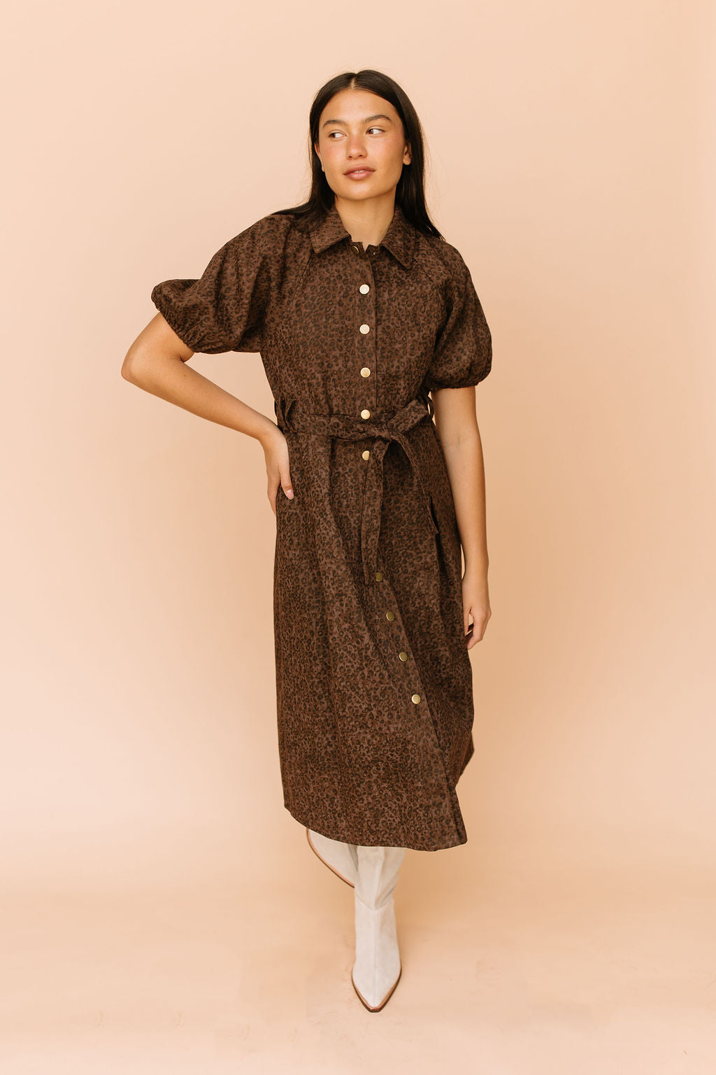 Roxana Leopard Denim Dress Main image