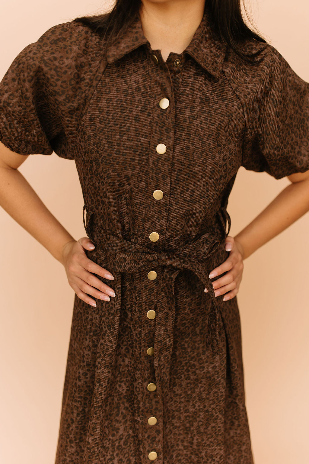Roxana Leopard Denim Dress
