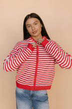 Myles Stripe Hooded Jacket