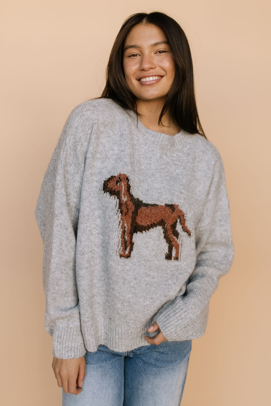 FINAL SALE - Hound Knit Sweater in Grey Secondary image