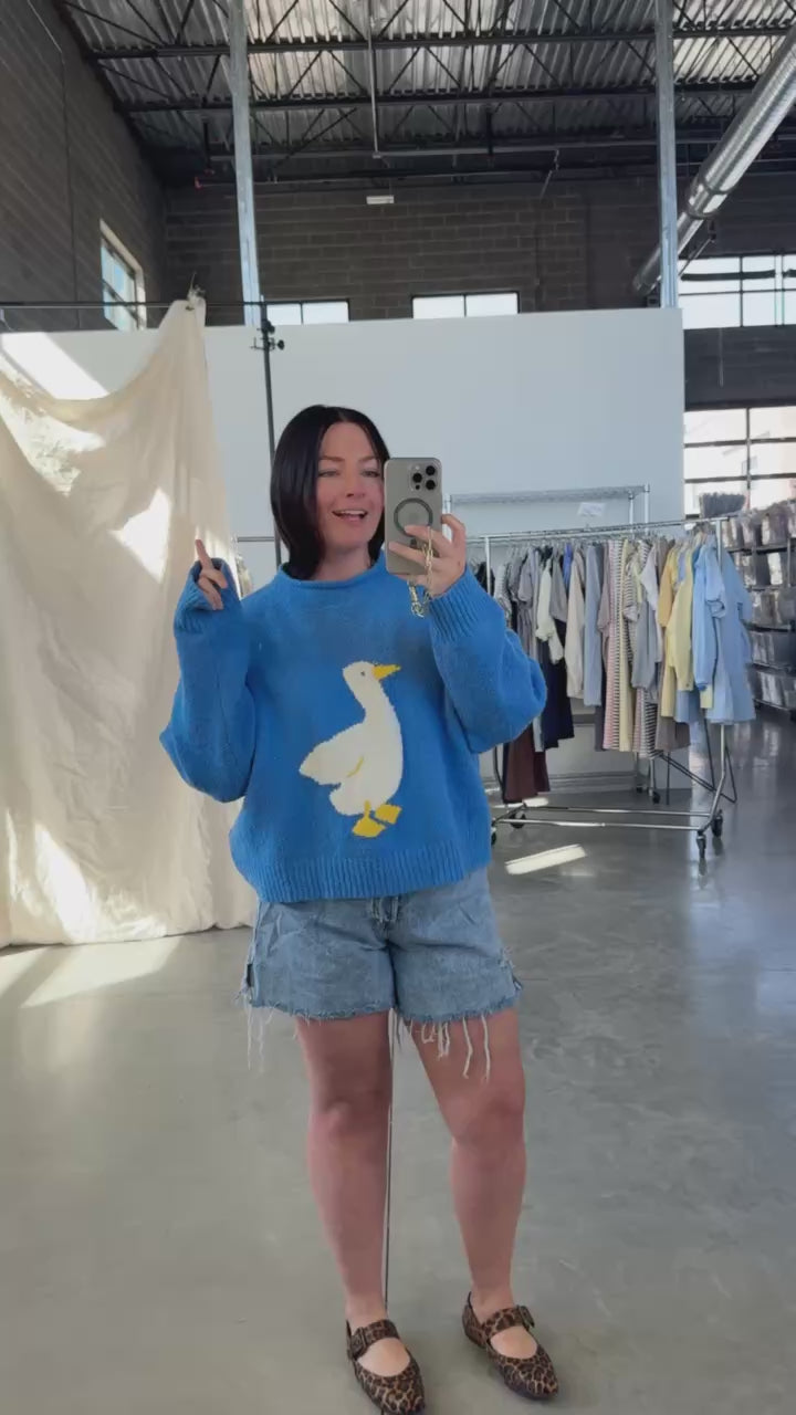 Silly Goose Sweater
