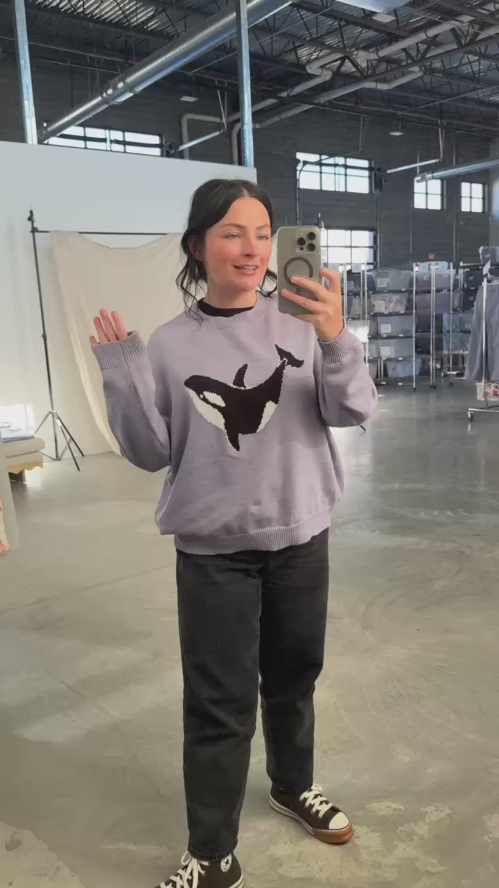 Whale Hello Knit Sweater