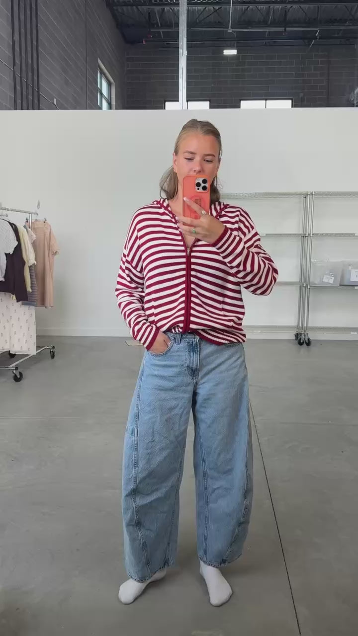 Zip Up Stripe Hoodie in Navy