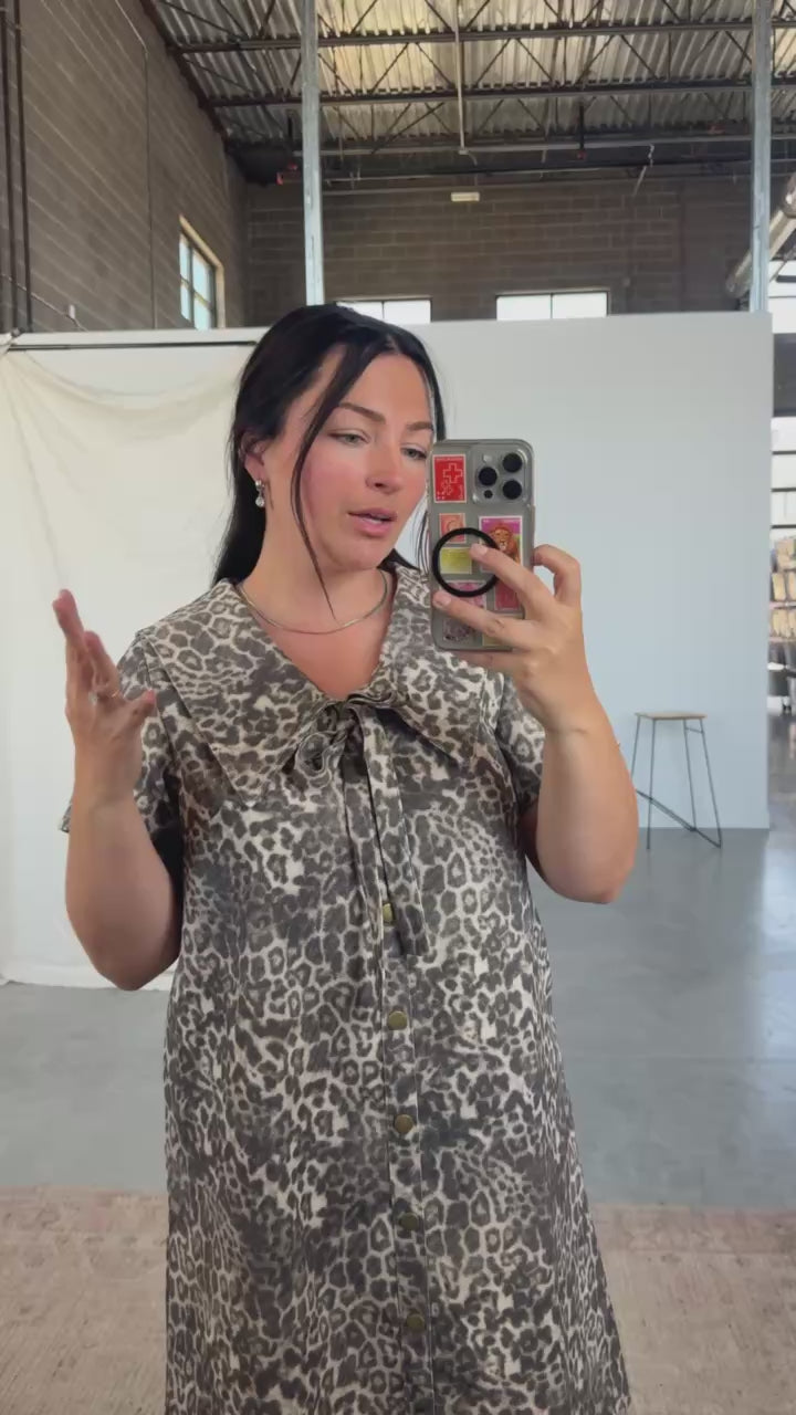 Kylie Leopard Print Dress