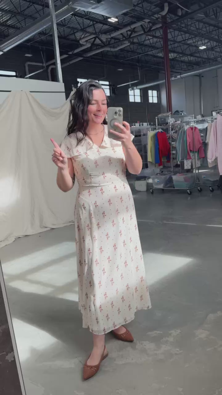 Strawberry Lane Dress